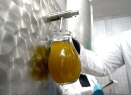 Ege'de zeytinyağı üretimi başladı! 100 yıllık geleneği hala sürdürüyor! Ayvalık'ta en lezzetlisini o çıkardı