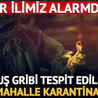 Eskişehir'de kuş gribi alarmı!