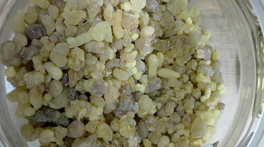 &Ccedil;iğnedik&ccedil;e iyileştiriyor! G&uuml;nl&uuml;k sakızı faydaları 