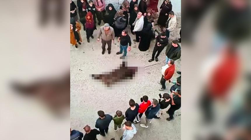 Gaziantep'te görülmemiş olay! Köye inen domuz korku dolu anlar yaşattı: 1 yaralı