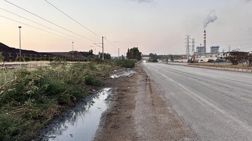 'Kabile kurmuşlar' Yolu istila ettiler! Görenler şaşkına döndü 'Çok fazla, o kadarını bir arada ilk defa gördüm'