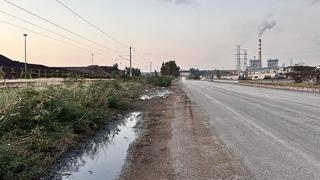 'Kabile kurmuşlar' Yolu istila ettiler! Görenler şaşkına döndü 'Çok fazla, o kadarını bir arada ilk defa gördüm'