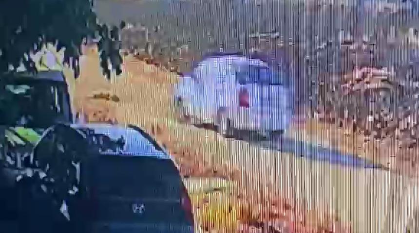 Yolda kendi kendine yatan köpeği ezip geçti! Caninin plakasının İstanbul hanesine ait olduğu öğrenildi