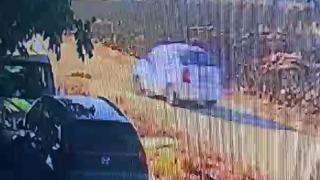 Yolda kendi kendine yatan köpeği ezip geçti! Caninin plakasının İstanbul hanesine ait olduğu öğrenildi