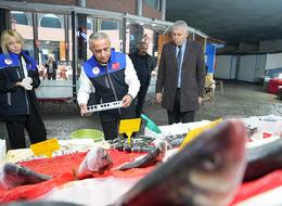 Denizlerdeki balıklar için Bakanlık'tan inceleme... 92 işletmeye yüz binlerce lira ceza kesildi!