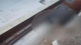 Yer: Esenyurt! Her saniyesini kaydetti: Nerede o adam? diyerek sevgilisinin evini bastı! Kaçmak isterken 3. kattan düşerek öldü