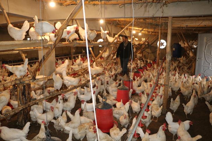 Hobi için 10 tane almıştı işler büyüdükçe büyüdü şimdi bine yakın var! Kendi işinin patronu olup çiftlik kurdu... G5