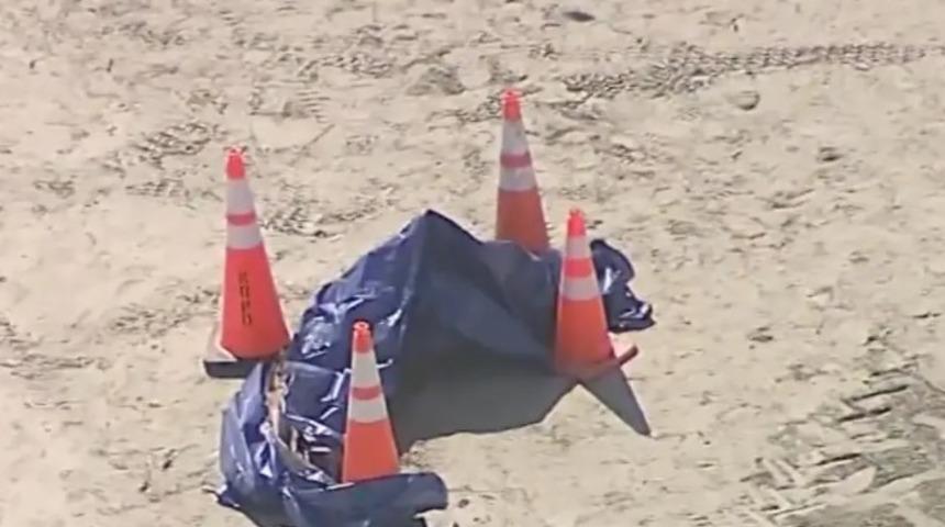Plajda yürüyüş yaparken bir anda karşılarına kesik insan kafası çıktı! "Burada her şeyi gördük ama bu sabah bulunan şeye inanamadık"