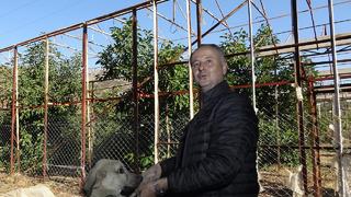 Metrelerce tel ördürdü başına köpek dikti! Yeşil incinin değeri arttıkça hırsızlık vakaları da arttı... Çözümü alternatif yollarda buldu