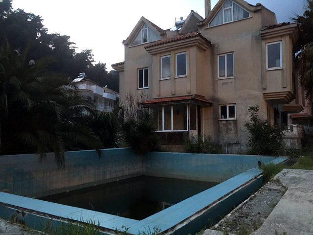 Villa havuzunda telef olmuş hayvanlar bulundu