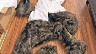 Böylesi şeytanın bile aklına gelmez! Sigorta şirketinden para almak için ayı kostümü giyen arkadaşı arabasına saldırdı: Dolandırıcılık böyle ortaya çıkartıldı