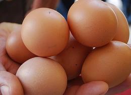 Yumurtaya 2 haftada peş peşe zam! Vatandaşlar isyan etti, bir yumurtanın fiyatı...