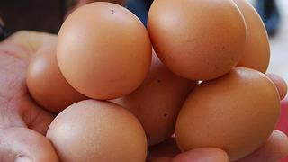 Yumurtaya 2 haftada peş peşe zam! Vatandaşlar isyan etti, bir yumurtanın fiyatı...