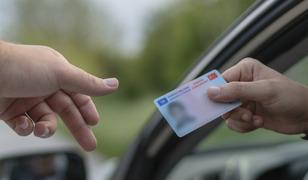 Yargıtay'dan ehliyetsiz s&uuml;r&uuml;c&uuml; kararı! Araca &ccedil;arpan cezayı &ouml;der