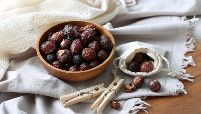 Sabun cevizi nedir, ne işe yarar ve nasıl kullanılır?