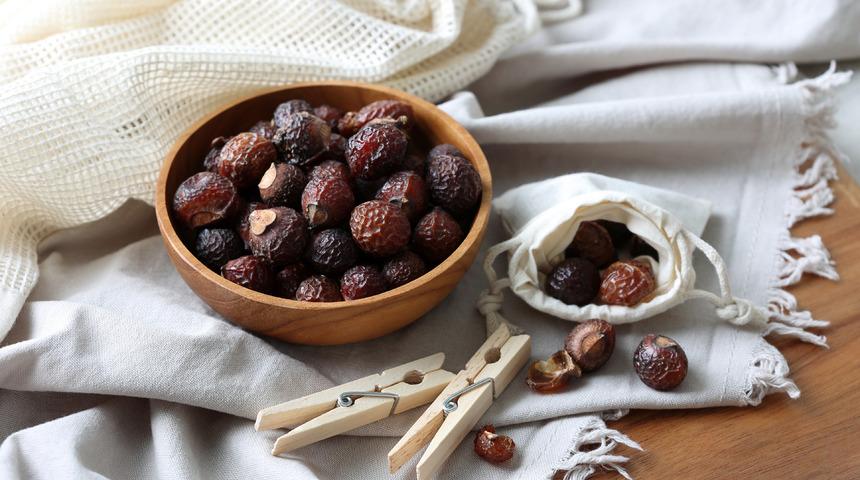 Sabun cevizi nedir? Sabun cevizi ne işe yarar ve nasıl kullanılır?