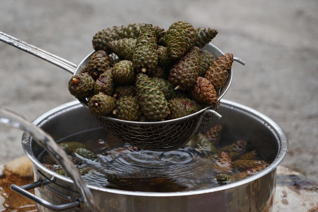 Dağdan toplanıyor, şifaya d&ouml;n&uuml;ş&uuml;yor! Sağlık &ccedil;alışanları bile peşinde... Kavanozu 150 TL'den alıcı buluyor