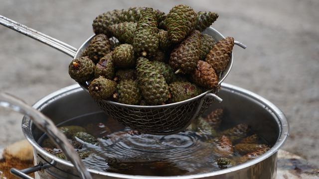 Dağdan toplanan şifa! Sağlık çalışanları bile peşinde