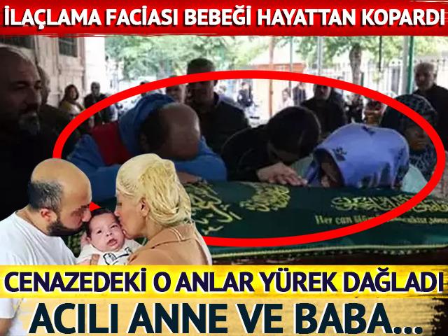 İlaçlama faciası yürek yakmıştı! 