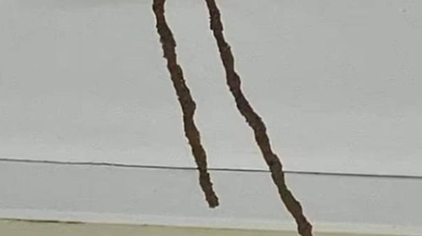 Banyo tavanında fark etti! Ne olduğunu anlayamadı: Sosyal medyadan komplo teorileri yükseldi