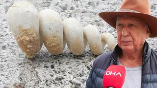 İstanbul'un o ilçesinde bulundu! Tam 10 milyon yıllık: ‘Depreme karşı en zayıf bölgeyi gösteriyor’