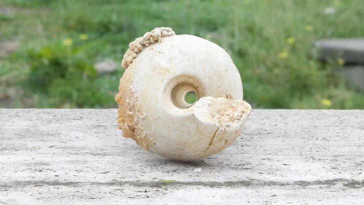 İstanbul'un o ilçesinde bulundu! Tam 10 milyon yıllık: ‘Depreme karşı en zayıf bölgeyi gösteriyor’ G1