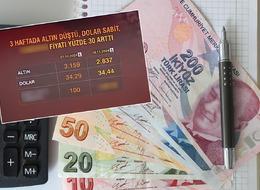 Altın düştü, dolar sabit, onun fiyatı yüzde 30 arttı! 'Buna yatırım yapsa karlı çıkacak' 