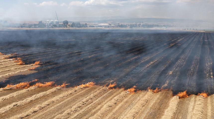 Anız yangını nedir? Anız yangını ne demek? Anız yangını zararları ve cezası