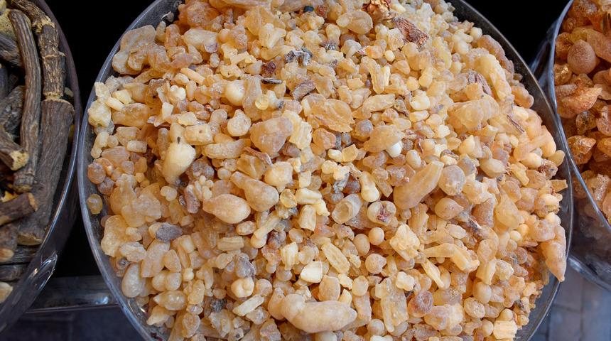 Akgünlük yağı faydaları nelerdir, neye iyi gelir? Akgünlük yağı nasıl kullanılır?