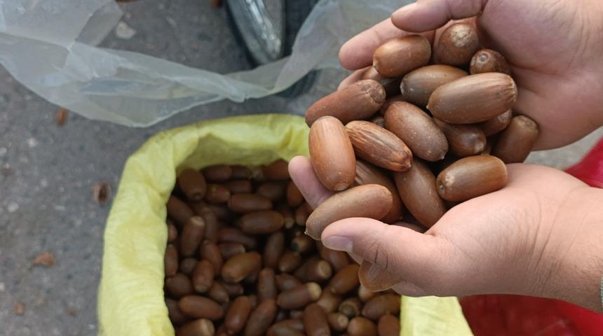 Tezgahta yerini aldı! İbrahim Saraçoğlu da öneriyor: Şeker hastalığına birebir faydalı!