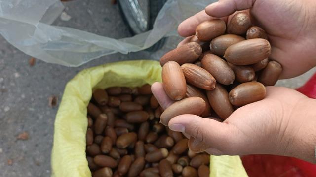 Tezgahta yerini aldı! İbrahim Saraçoğlu da öneriyor: Şeker hastalığına birebir faydalı!