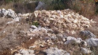 Mersin’de korkutan görüntü! Yüzlerce ölü tavuk bulundu Kuş gribi tehlikesi mi?