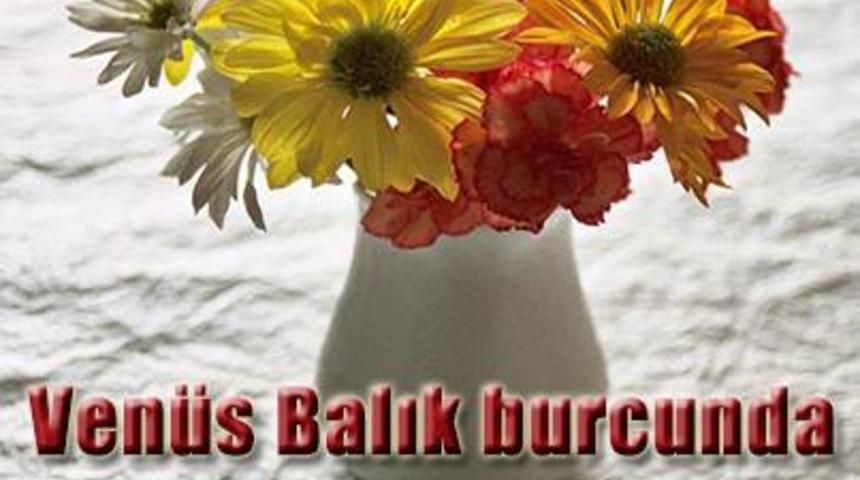 Ven&uuml;s Balık Burcu Ge&ccedil;işi