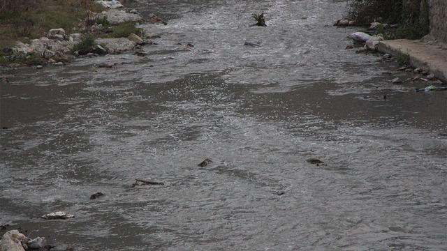 Türkiye'de tek! O da zehir saçıyor... Su öyle bir hale geldi ki Bu suda yılan bile yaşamaz”