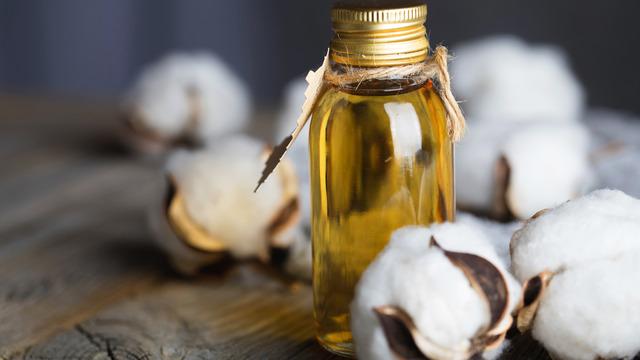 Pamuk yağı nedir? Pamuk yağı zararlı mı, faydalı mı? Pamuk yağı zararları ve faydaları