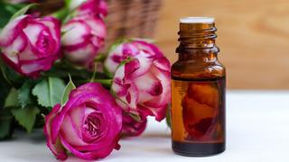 Gül mayası nedir, ne işe yarar? Gül mayası faydaları nelerdir? Gül mayasının yüze ve cilde faydaları