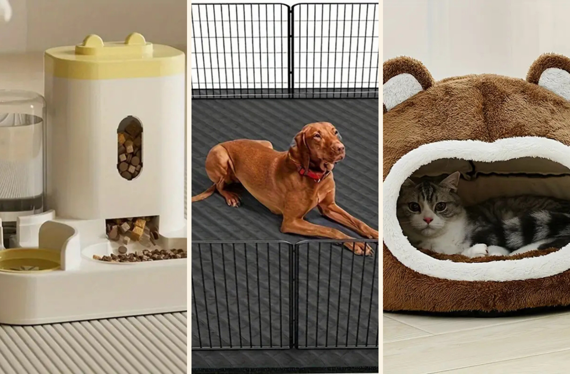 Evcil hayvanınız için TEMU'dan alabileceğiniz pratik ve bütçe dostu ürünler 