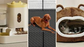 Evcil hayvanınız için TEMU'dan alabileceğiniz pratik ve bütçe dostu ürünler 