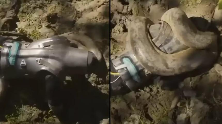 Böyle bir deney ne görüldü ne de duyuldu! Adam yılanın kendisini canlı canlı yemesine izin verdi ve pişman olmadan önce her şeyi kaydetti