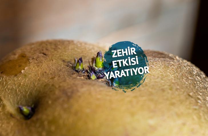 Patateste bu iki belirti varsa ağzınıza bile sürmeyin! Zehir saçıyor
