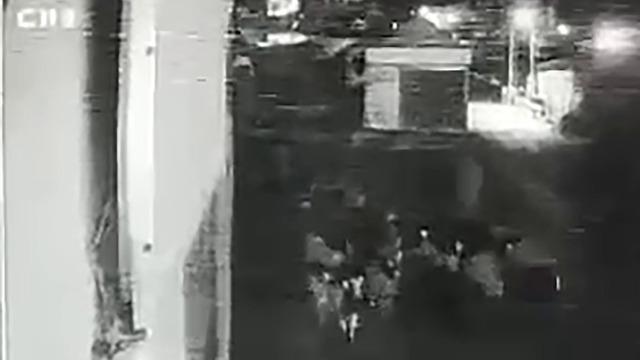 1 dakikada dev soygun... 15 yıllık emeği olan 90 koyun iki maskeli şahıs tarafından arkalarına alarak çalındı!