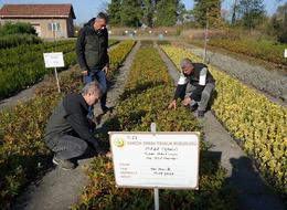 İçine böcek, dezenfektan ve mantar karıştırılıyor! Dünya'nın en pahalısı Samsun'da üretiliyor...Trüf mantarının yapımı anlatmakla bitmiyor!