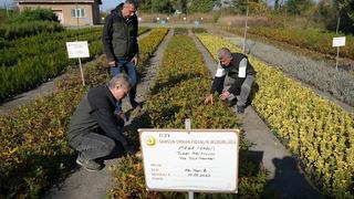 İçine böcek, dezenfektan ve mantar karıştırılıyor! Dünya'nın en pahalısı Samsun'da üretiliyor...Trüf mantarının yapımı anlatmakla bitmiyor!