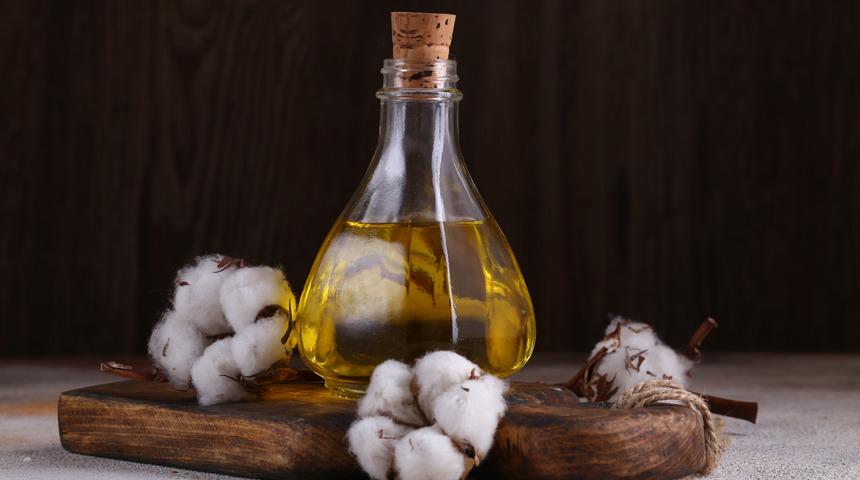 Pamuk yağı nasıl yapılır, donar mı? Pamuk yağı neyden yapılır?