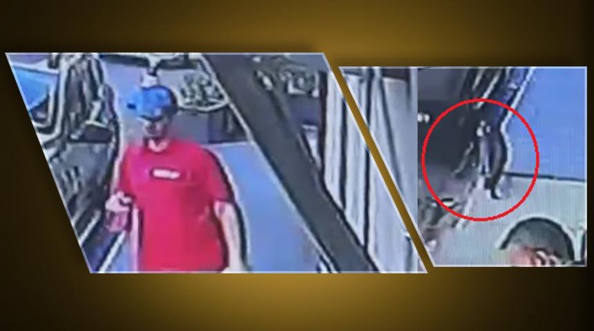 Yemeği kayboldu, arkadaşları şaka yapıyor sandı... Görüntüleri öğrenen adam hırsız kediyi görünce olanları anladı!