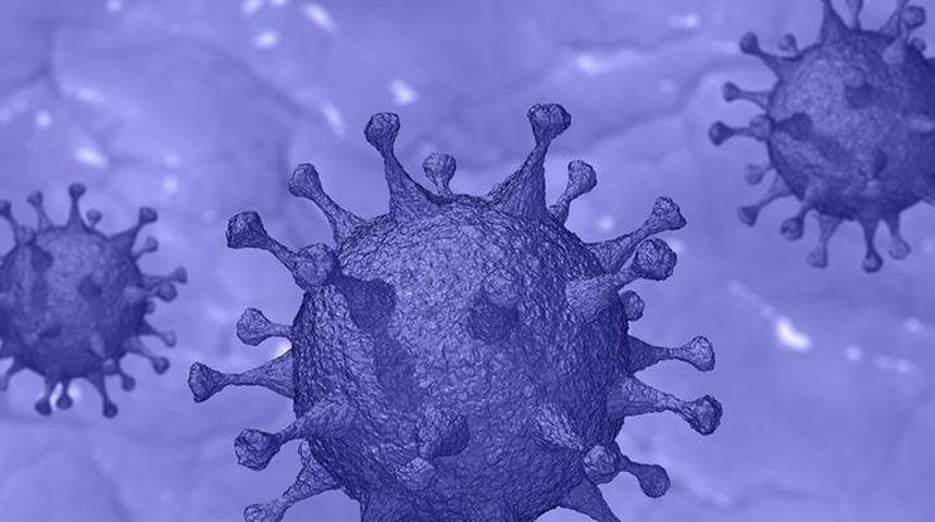 DSÖ'den M çiçeği virüsü için 'Acil durum' açıklaması! 'Vakalar artıyor' diyerek uyardı