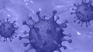 DSÖ'den M çiçeği virüsü için 'Acil durum' açıklaması! 'Vakalar artıyor' diyerek uyardı