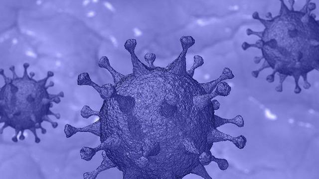 DSÖ'den M çiçeği virüsü için 'Acil durum' açıklaması! 'Vakalar artıyor' diyerek uyardı