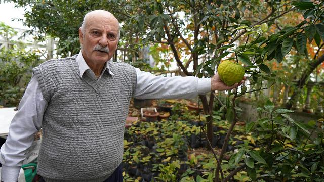 'Olmaz' denileni yaptı! 50 farklı ülkeden binbir çeşit meyve ekti... Anavatanı Meksika ama 14 senedir Samsun'da üretiyor