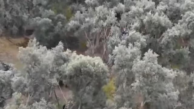 Böylesi ne Ege'de ne Akdeniz'de görüldü! Dünya çapında ünü var